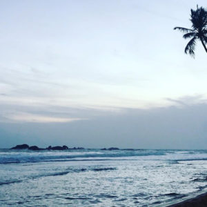 Volunteer Diary – Veli & Sofia in Sri Lanka