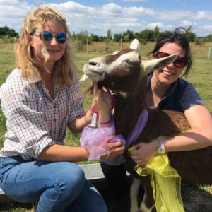 Family Farm Day, July 2nd 2017: Raised £1,000